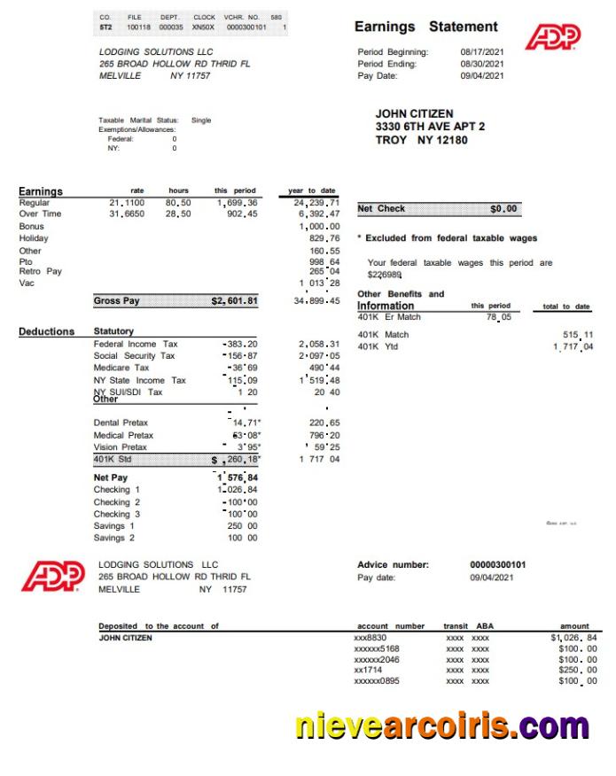 USA ADP business corporate earnings statement in Word and PDF format